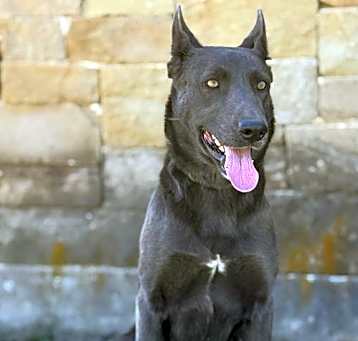 Photo of Lauren