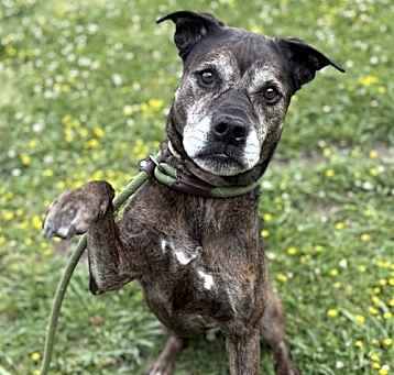 Photo of 2505-0850 Luna