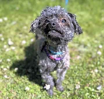 Photo of Buffy