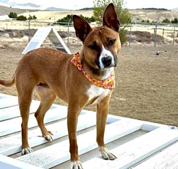 Photo of Atlas
