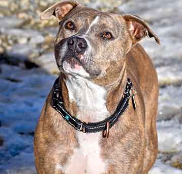 Photo of Kida