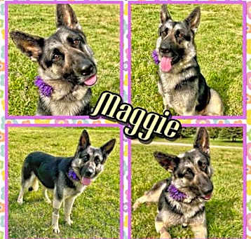 Photo of Maggie