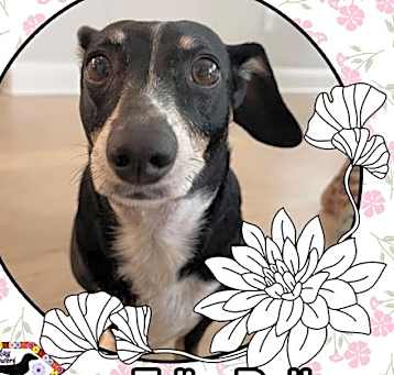 Photo of Edie Belle