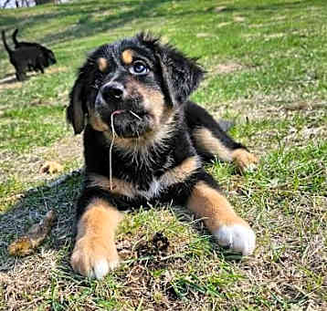 Photo of Marlee
