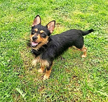 Photo of Shilo