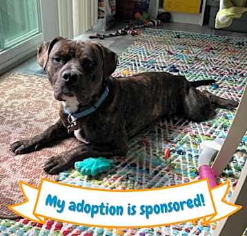 Photo of Sampson
