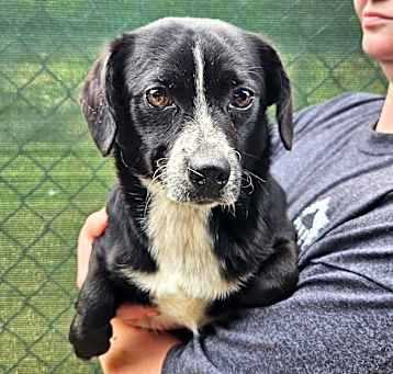 Photo of BUTTONS-29769