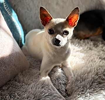Photo of Fiona