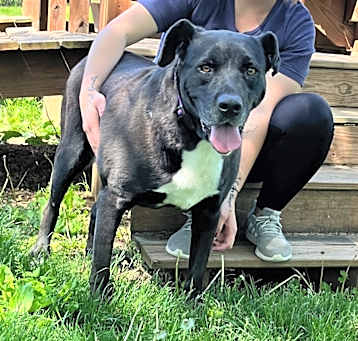 Photo of Jethro 