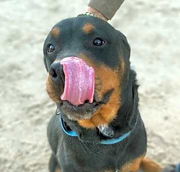 Photo of MORGAN