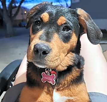 Photo of Hazel