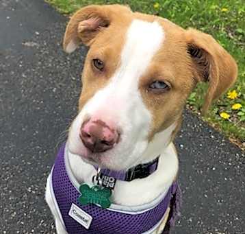 Photo of Maisey
