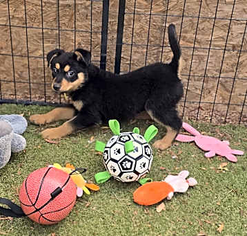Photo of Holly
