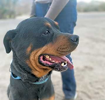 Photo of MORGAN