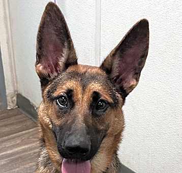 Photo of Mia