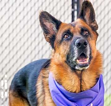 Photo of Steve