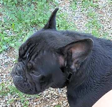 Photo of JULIETTE