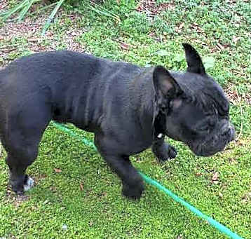 Photo of JULIETTE