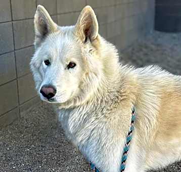 Photo of ZEKE*