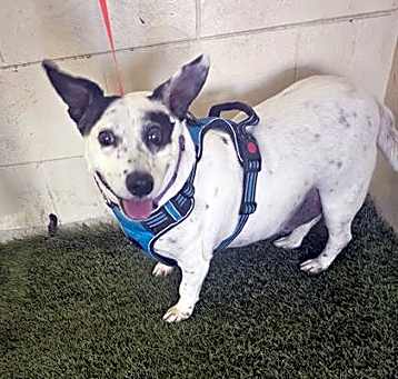 Photo of TATER