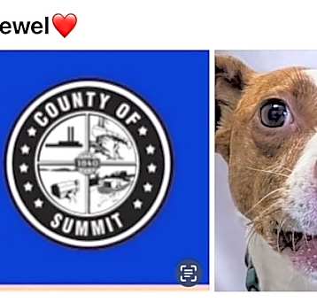 Photo of JEWEL