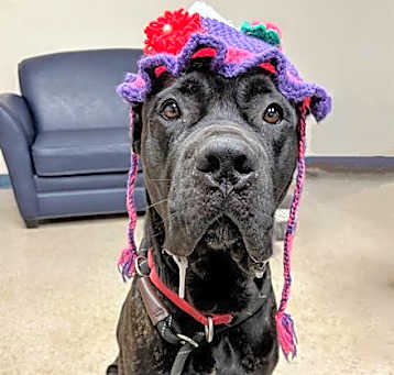 Photo of OAKLEY