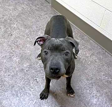 Photo of ZEUS