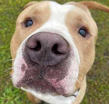 Photo of COLBY/URGENT