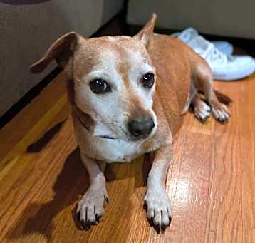 Photo of Rosco