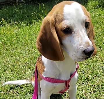 Photo of Lila