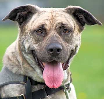 Photo of Remington