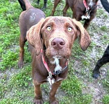 Photo of Truffle