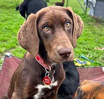Photo of BonBon