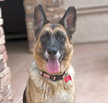 Photo of Sadie Baby