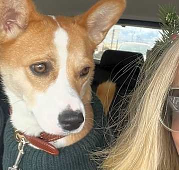 Photo of Kiwi