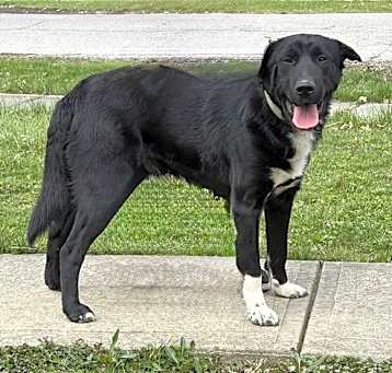 Photo of Meko