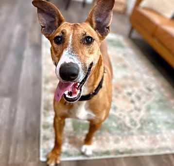 Photo of Molly Dolly loves bigger than her ears