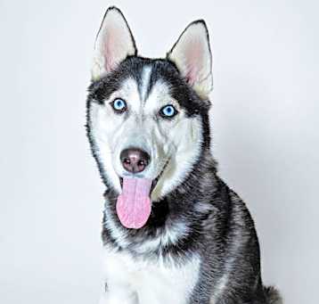 Photo of Hunter