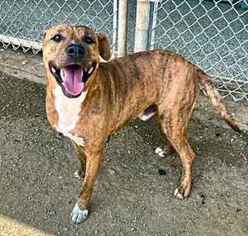 Photo of Buster