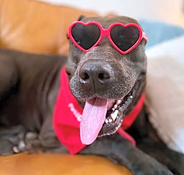 Photo of Buford Mr.Gentleman