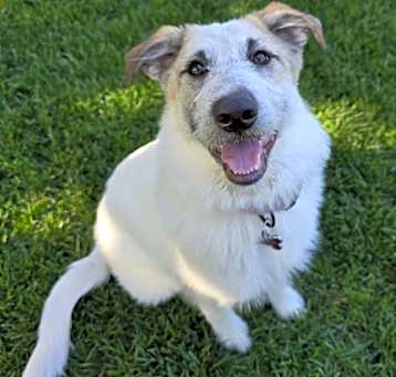 Photo of Kia