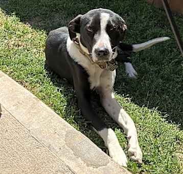Photo of Churro