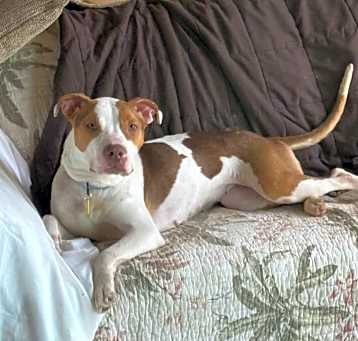 Photo of Lois