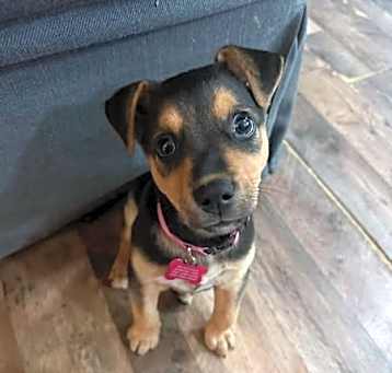 Photo of Schmooze
