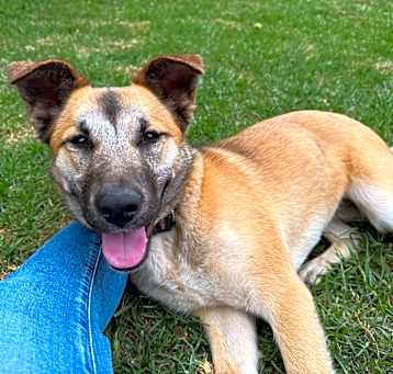 Photo of Jasmine