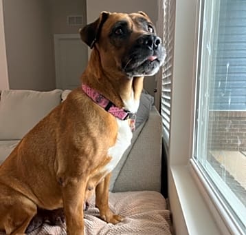 Photo of Shirley