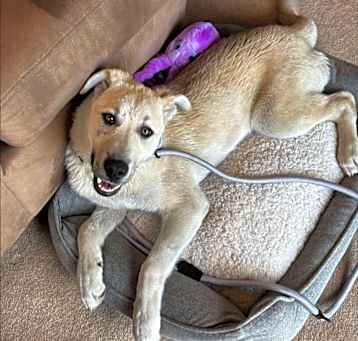Photo of Sally