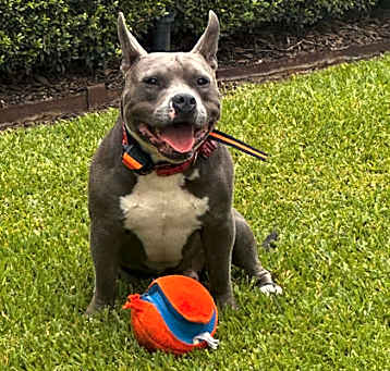 Photo of Big Baby Bane
