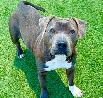 Photo of DEUCE