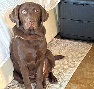 Photo of Charlie